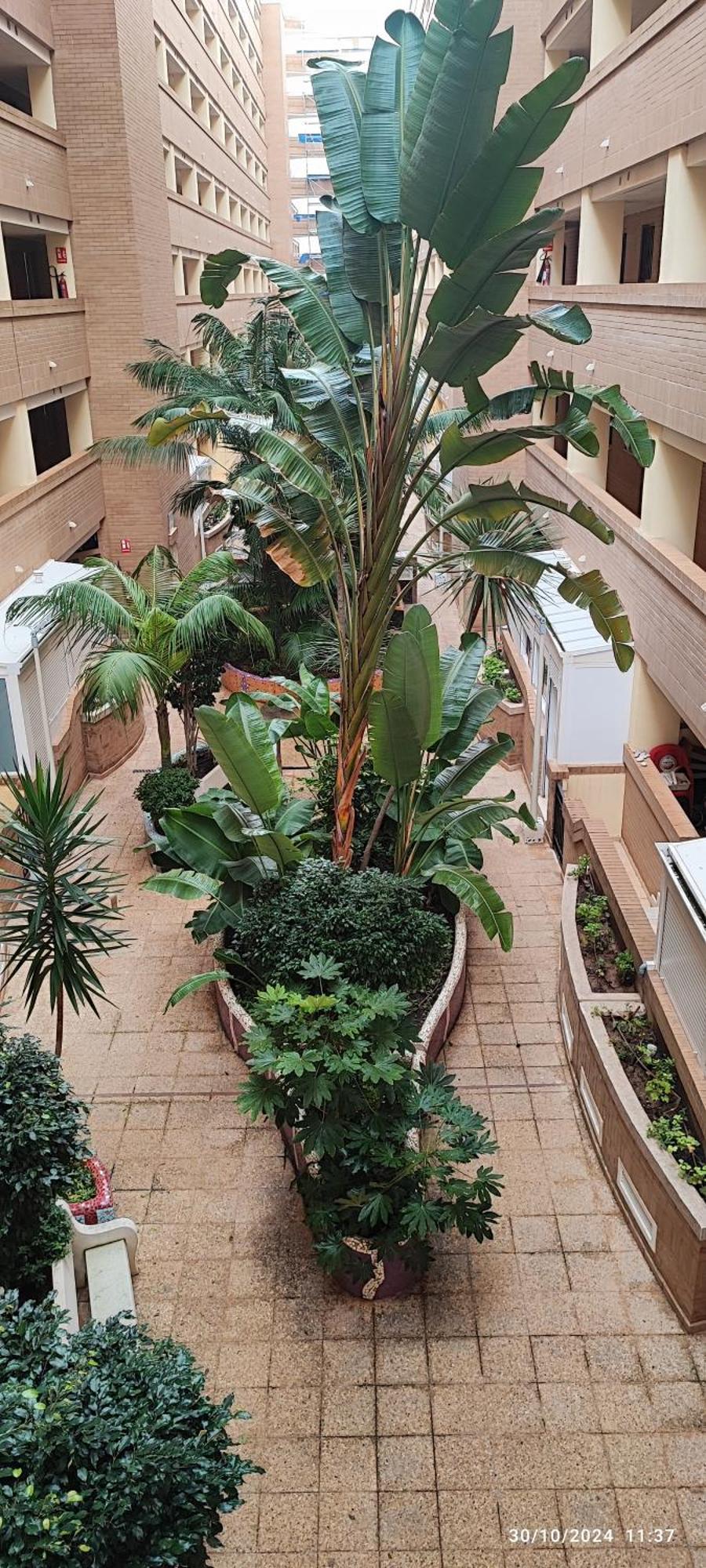Costa Caribe I World, Classic - Servhouse Apartment