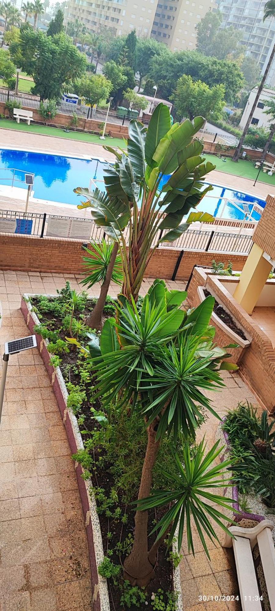 Costa Caribe I World, Classic - Servhouse *